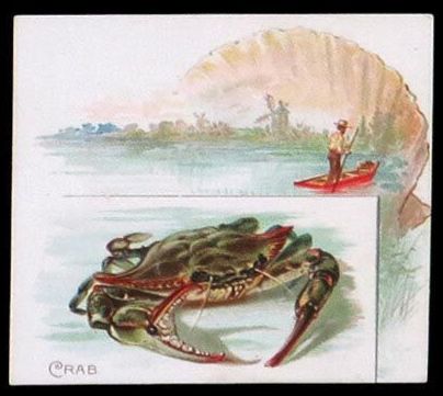 N39 Crab